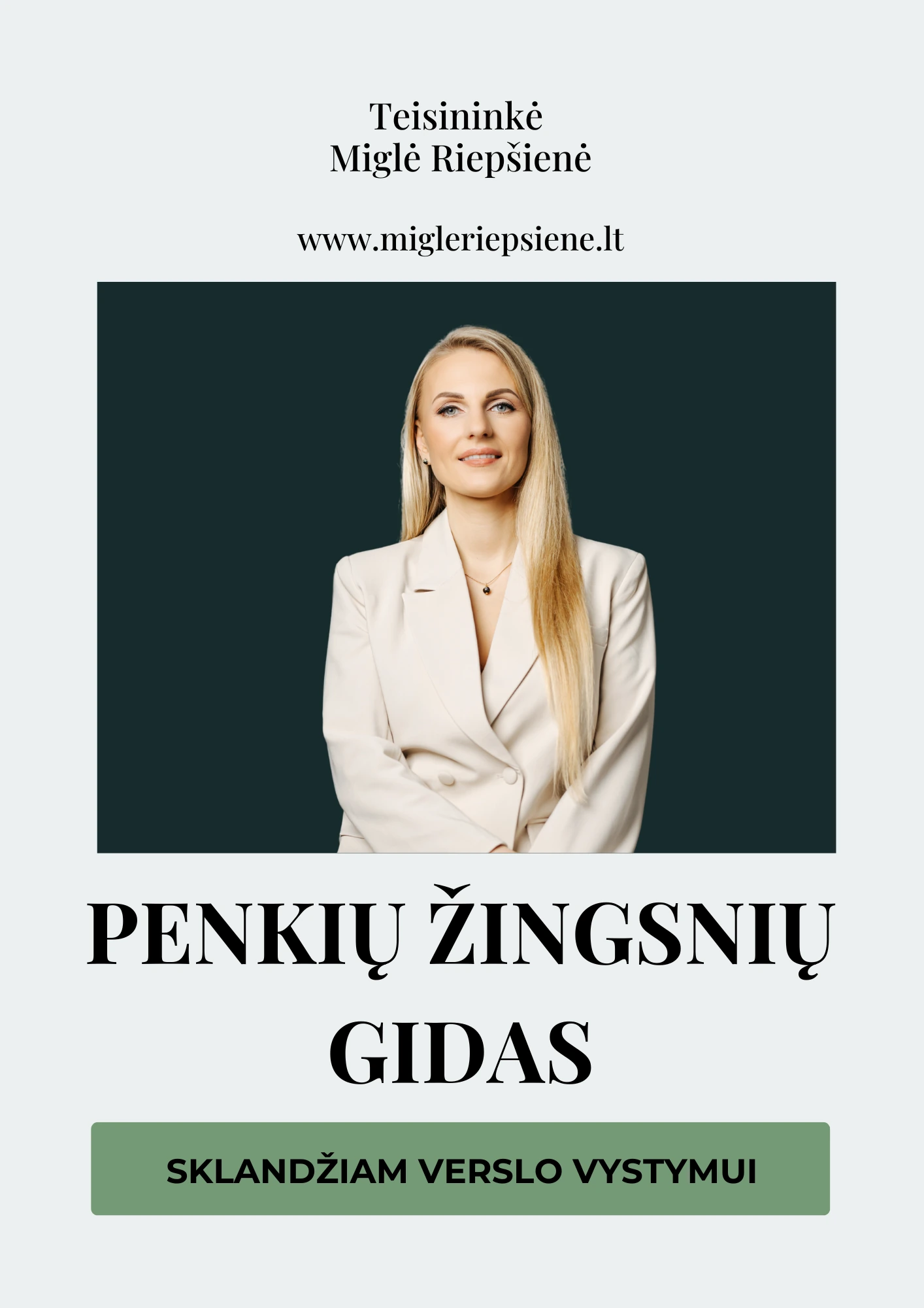5 zingsniu gidas sklandžiam verslo vystymui